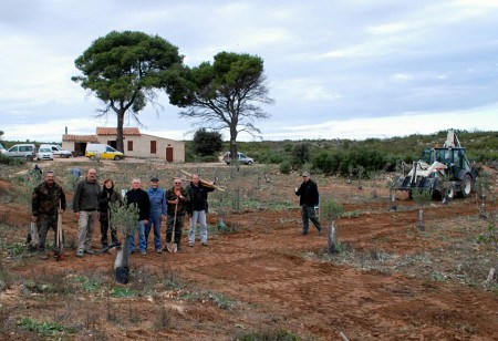 plantation 2010